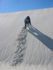 PICTURES/White Sands National Monument/t_White Sands - Sharon climbing dune 2.jpg